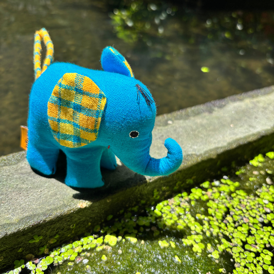Blue Small Elephant