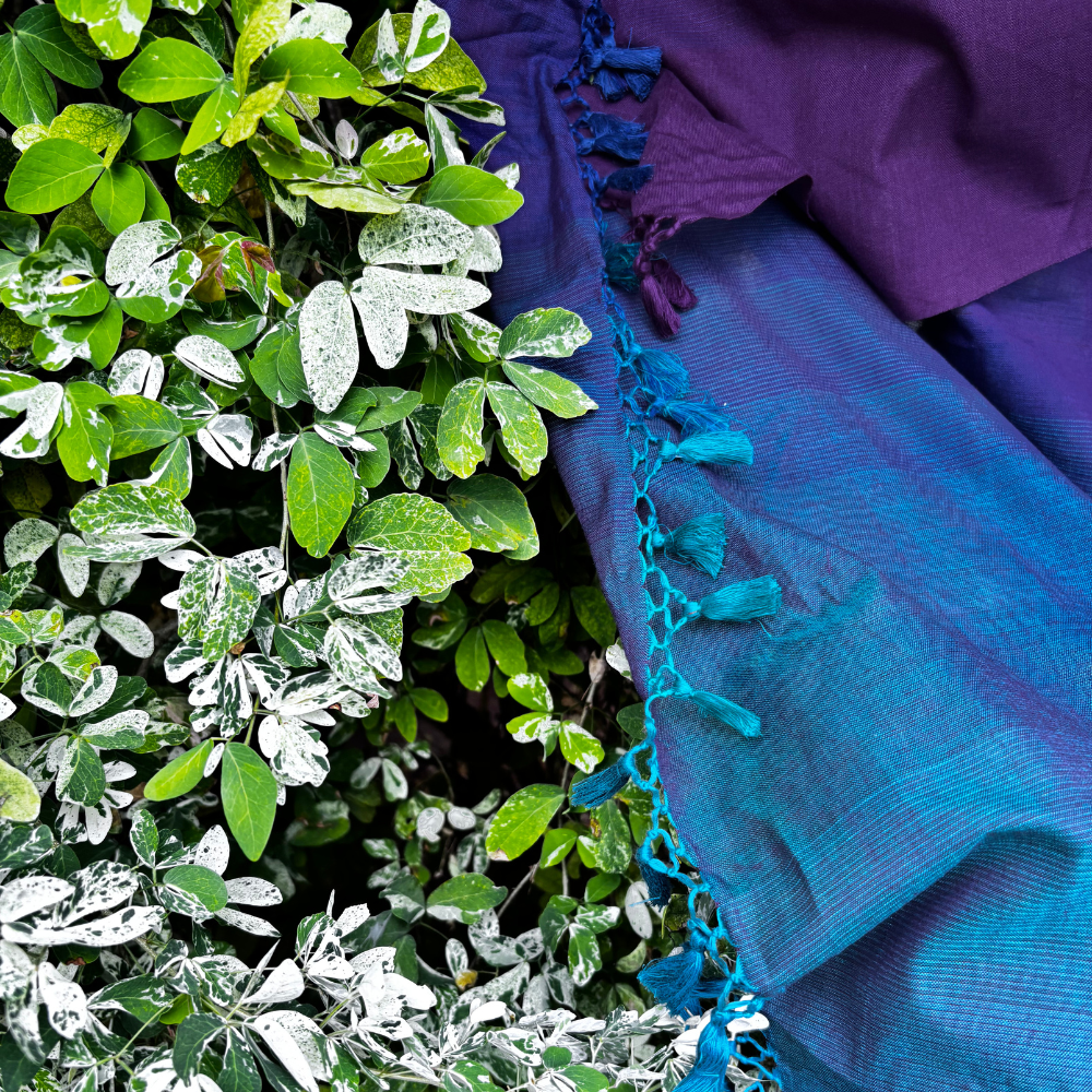 Blue And Purple Cotton Handloom Saree With Tassels