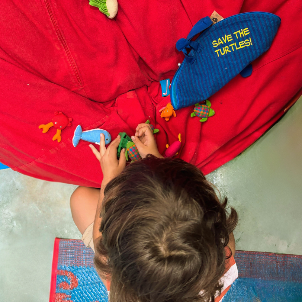 Save the Turtle Educational Pouch