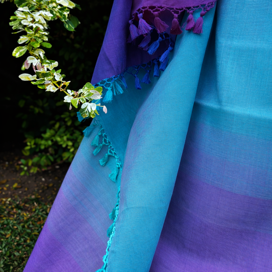 Blue And Purple Cotton Handloom Saree With Tassels