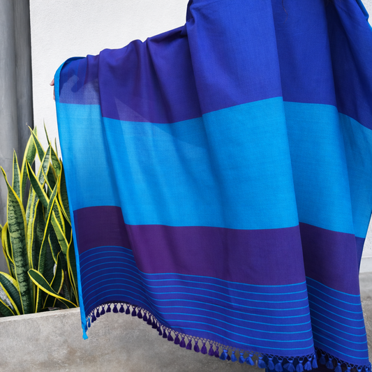 Dark Blue , Light Blue & Purple Stripped Handloom Cotton Saree with Tassels